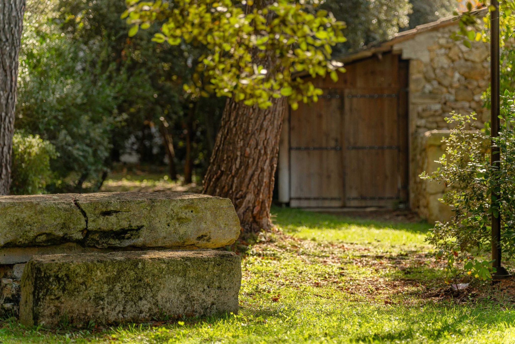 Mas des inseparables location saint cannat proche d'aix en provence-087