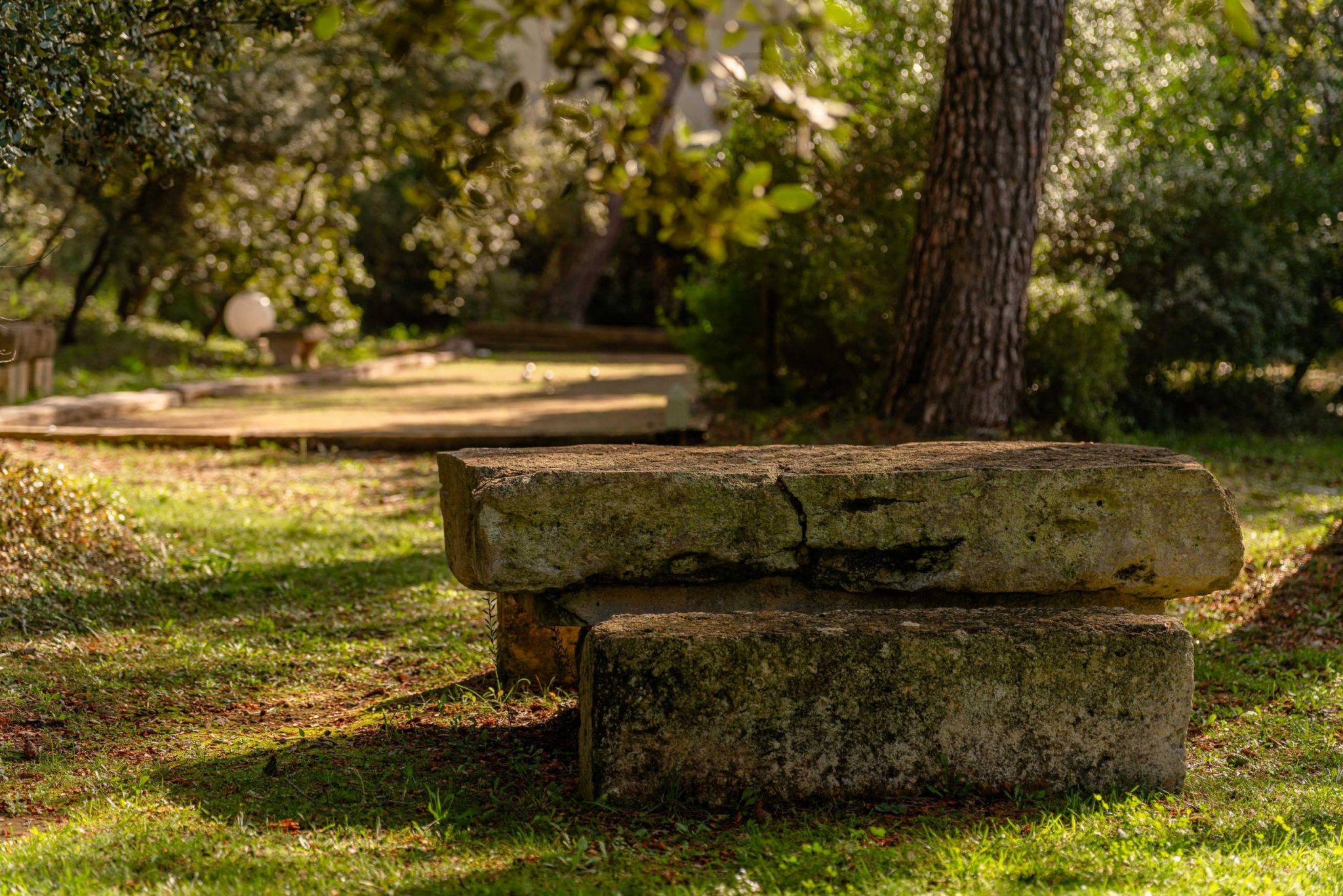 Mas des inseparables location saint cannat proche d'aix en provence-095